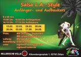 Bild zu Salsa Kurse